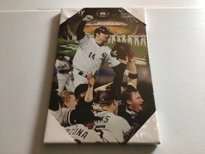NIP 2005 World Champion Chicago White Sox Konerko Xfinity 14 X 9 SGA Wall Print - Picture 1 of 7