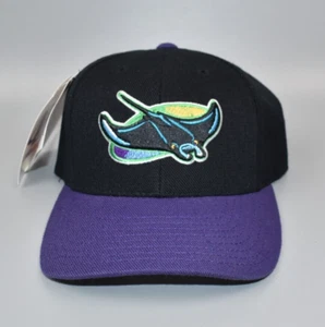 Tampa Bay Devil Rays Logo Athletic Vintage Wool Snapback Cap Hat - NWT - Picture 1 of 6