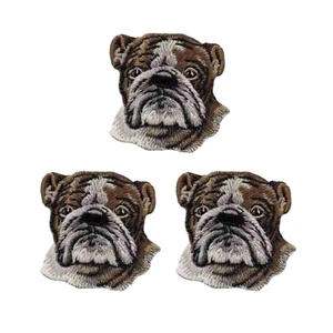 English Bulldog Head (3-Pack) Iron On Patch - Picture 1 of 4