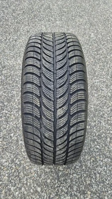 Sava Eskimo 205/55 R16 91T - Bild 1 von 3