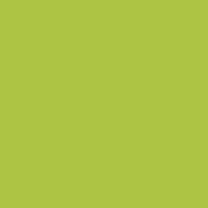 LETTUCE GREEN ~ SOLID Confetti Cotton ~ by Riley Blake ~ Quilting Fabric - Picture 1 of 1