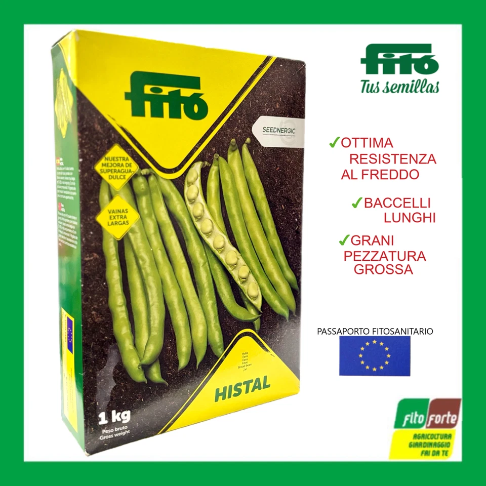 SEMI Sementi di FAVA 1 KG "SEMILLAS FITO" Resistente al freddo Bacello Lungo