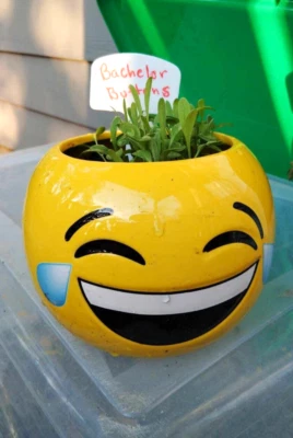 Jarrón emoji DECORACIÓN/plantador llorando riendo, caramelo u otra decoración artesanal Foto 1 de 4