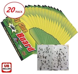20 pcs Sticky Fruit Fly Traps Fungus Gnat Killer Trap Paper for Houseplant Home - Picture 1 of 5