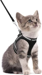 Rabbitgoo Cat Harness and Leash Set for Walking Escape Proof, Adjustable Soft Ki - Picture 1 of 9
