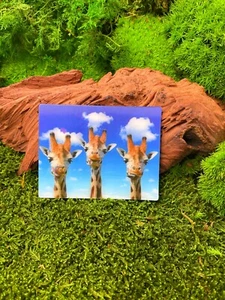 Giraffes Long Neck Hoofed Pair 9x7cm 3D Fridge Magnet Card Picture - Picture 1 of 2