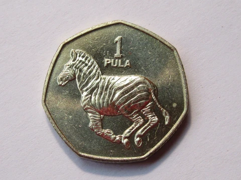 1991 Botswana coin  1 Pula  ZEBRA  unc beauty  nice large coin  AFRICA ebayship Cover