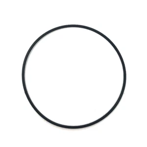Genuine Casio O-Ring Case Seal Casio Watches AW-510, GA-100 & EF-554D 74212971 - Picture 1 of 2