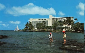 Cartolina Naniola Surf Hawaii località molto bella Hilo Bay vista montagna - Foto 1 di 2