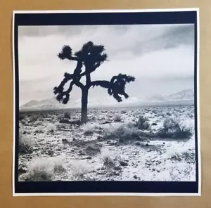 Joshua Tree 12"" x 12"" Posterdruck - U2 Band Rock - Bild 1 von 1