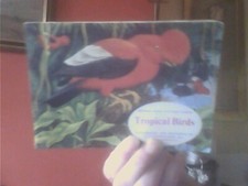 Brooke Bond  PG Tips Tropical Birds 2 cards missing