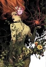 Poison Ivy #1, 13x19 POSTER, Dan Mora, Batman, Gotham City, DC, Decor, Harley