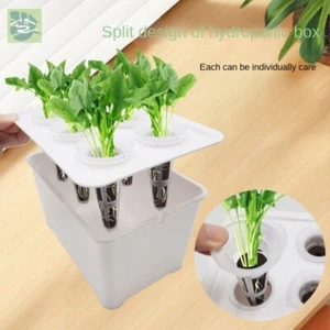 Gemüse Blumentopf Hydro po nische Soilless Kultivierung Ausrüstung - Bild 1 von 7