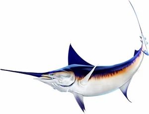 Sword Beautiful Vinyl Sticker Fish Decals for Boat Car Vehicle Truck Fishing - Picture 1 of 13
