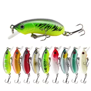 10 PIEZAS Señuelos de Pesca Minnow Cebos Plástico Realistas Crankbaits Swimbait Aparejo - Imagen 1 de 13