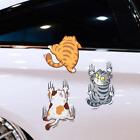 3x Cute Cat Adhesive Vinyl Decal Sticker Funny Animal NICE Car Window Pet AUS