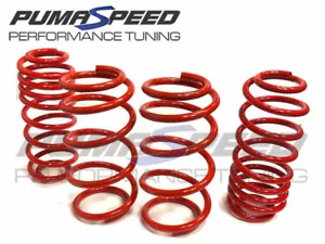 Pumaspeed Stance Lowering Springs Ford Fiesta Mk8 ST Petrol 1.5 EcoBoost - Picture 1 of 3