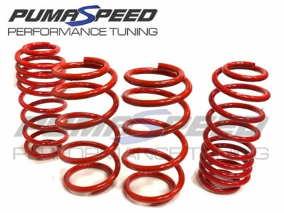 Pumaspeed Stance Lowering Springs Ford Fiesta ST Mk7 ST180/ST200 - Image 1 of 3