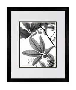 12X16 schwarz Küstenholz Bilderrahmen mit weiß/schwarzer Matte für 9X12 - Bild 1 von 3