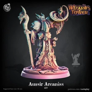 Arch mage miniature - CastnPlay - DnD miniatures - Role Playing Game - Tabletop - Picture 1 of 2