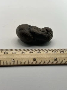 Coprolite Genuine Fossilized Feces Poop Dung  2” X 1.25” X 1” C57 - Picture 1 of 5