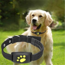 Z8-A Anti-smarrimento Animale Domestico Localizzatore GPS Cane Gatto Collare