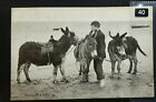 0354. Printed Posted 1905 Postcard - Waiting For A Job. Donkeys. Beach