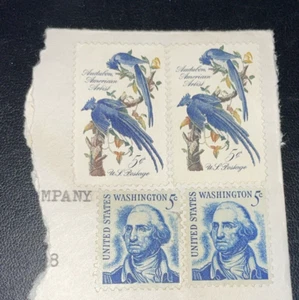 4 USA 5 Cent Stamps - 2 Washington & 2 Audubon On Envelope Not Canceled - Picture 1 of 4