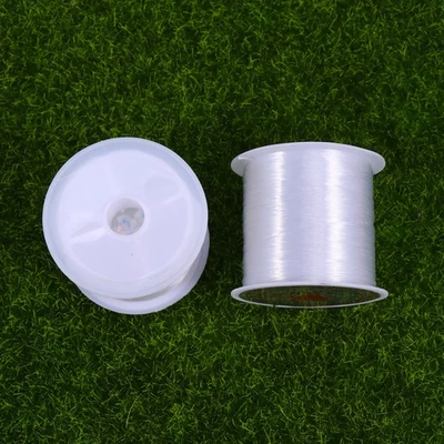2 Pezzi Attrezzatura da Pesca Trasparente 100m Esca Filo per Elastico - Immagine 1 di 4