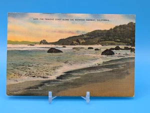 Trinidad Coast Redwood Highway CA Linen Postcard California Seascape 1946 - Picture 1 of 2