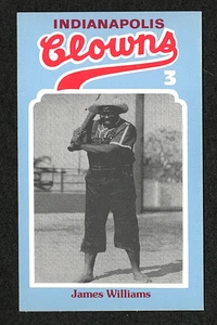 1976 Laughlin Indianapolis Clowns card #3 James Natureboy Williams - Foto 1 di 2