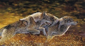 Catch the Wind - Wolves - Bonnie Marris - SIGN/NUMBER - Ltd Ed -Mint - Picture 1 of 1