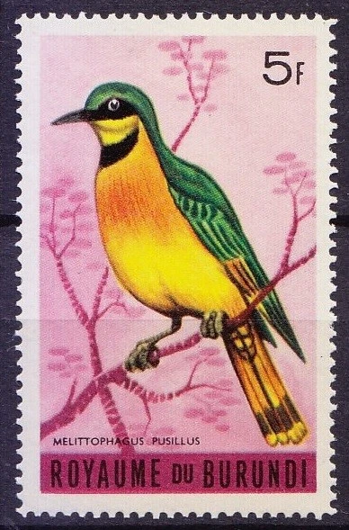 Burundi 1965 MNH, Little Bee-eater, Birds, Merops pusillus  - Imagem 1 de 1