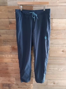 Stio Pinedale Jogger Pants Blue Stretch Performance Outdoor Men's Sz. Med. EUC - Picture 1 of 14