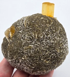 +++ GYPSUM VAR. SELENITE RED RIVER FLOODWAY, WINNIPEG, MANITOBA, CANADA +++ - Picture 1 of 7