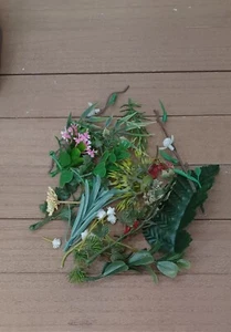 Anuncio especial: SOLO plantas y flores - Imagen 1 de 1