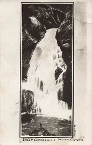 Postal LP11 Stevens Co. Northport Washington Sheep Creek Falls Palmer RPPC - Imagen 1 de 2