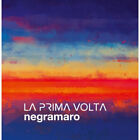 Negramaro La Prima Volta BLUE Vinyl Single 7inch NEW OVP Sugar