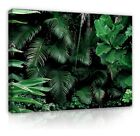 LEAVES GREEN PLANTS canvas murals canvas pictures canvas mural 13