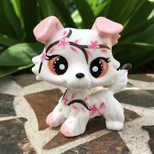 Mini negozio di animali giocattoli, cucciolo di cane, collie con fiori dipinto a mano su misura oquercia, bello! - Foto 1 di 3