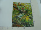 vintage Post Card -- unused -- 3-d card -- asahi trading co -- OF BIRDS #2