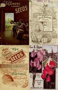 102 Old Books on Herbs Botany Botanica Plants Herbal Remedy Medicine V.1 on DVD - Picture 1 of 12