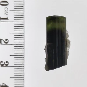 Tourmaline bicolor green cap crystal w/ Albite mineral specimen StakNala 17ct - Picture 1 of 7