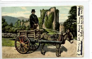 (Gc4879) Ein Killarney Motor, Esel und Wagen, 1905 - Bild 1 von 4