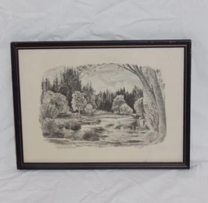 Peter Arnold NZ Artist 1881 Hamurana Springs Black And White Pen Drawing Print - Bild 1 von 7