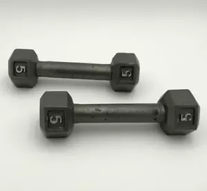 5lb Hex Style Dumbbells Hand Weights 10 lb Total - Picture 1 of 2