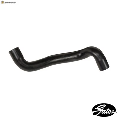 KÜHLERSCHLAUCH 05-3130 FÜR RENAULT SCENIC/II/GRAND MEGANE/-Cabriolet/Sport 2.0L - Image 1 of 4