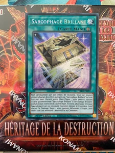 Yu-Gi-Oh sarcophage brillant LEDE FR051 FR - Imagen 1 de 1