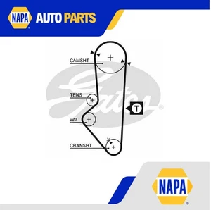Timing Belt fits ROVER 25 RF 1.1 99 to 05 11K2F Gates GTB1253 GTB1253XS WAM2804 - Picture 1 of 2
