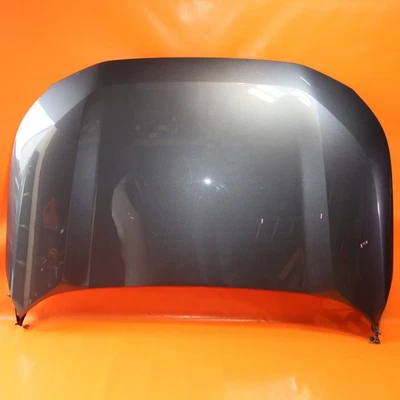 TOYOTA RAV4 CAPÓ 2019 2020 2021 2022 GRIS OEM Foto 1 de 4